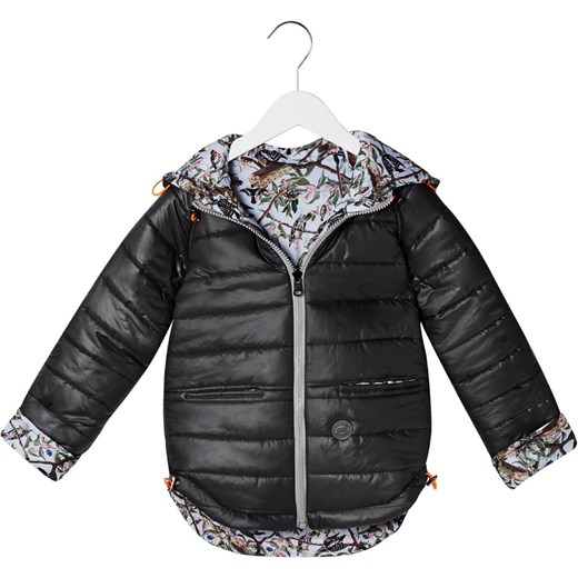 Kurtka Colibri Kids Birds/Grey Colorshake 11-13 Colorshake Store