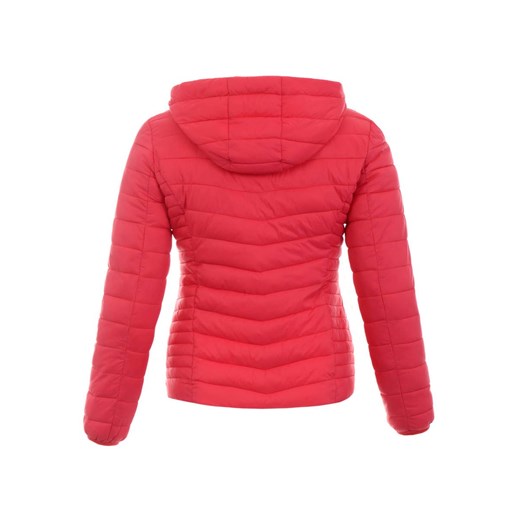 Damska kurtka 5XL brendi.pl