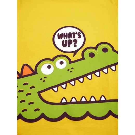 T-shirt chłopięce Deno Kids