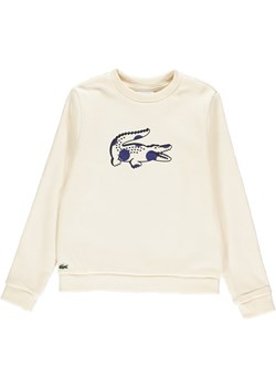 Lacoste bluza dziewczęca