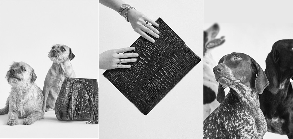 Polskie it bags - torebki marki Zofia Chylak w Showroom.