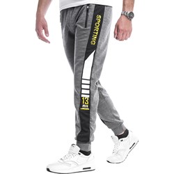 Spodnie męskie szare Risardi sportowe  - zdjęcie produktu