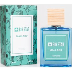 Perfumy damskie BIG STAR - zdjęcie produktu