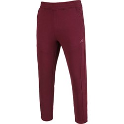 Fioletowe spodnie męskie 4F jesienne sportowe  - zdjęcie produktu
