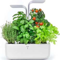 Kuchnia/jadalnia Veritable - ANSWEAR.com - zdjęcie produktu