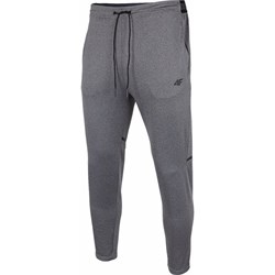 4F spodnie męskie jesienne w sportowym stylu  - zdjęcie produktu