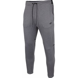Spodnie męskie 4F - SPORT-SHOP.pl - zdjęcie produktu