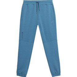 Spodnie męskie 4F jesienne dresowe  - zdjęcie produktu