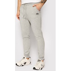 Spodnie męskie Alpha Industries  - zdjęcie produktu