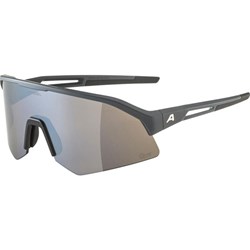 Okulary przeciwsłoneczne Alpina  - zdjęcie produktu