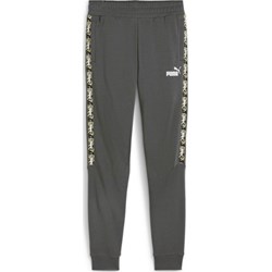 Spodnie męskie Puma - SPORT-SHOP.pl - zdjęcie produktu