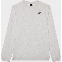 4F bluza męska  - zdjęcie produktu
