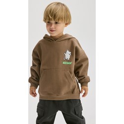Bluza chłopięca Reserved - zdjęcie produktu