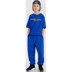Spodnie chłopięce 4f Junior - Sportstylestory.com - zdjęcie produktu