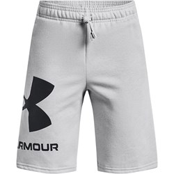 Spodenki męskie Under Armour  - zdjęcie produktu