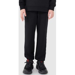 Spodnie chłopięce 4f Junior - Sportstylestory.com - zdjęcie produktu