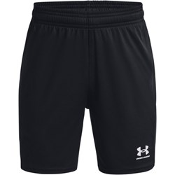 Spodenki chłopięce Under Armour - Sportstylestory.com - zdjęcie produktu