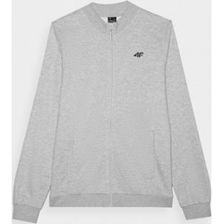 Bluza męska szara 4F sportowa  - zdjęcie produktu
