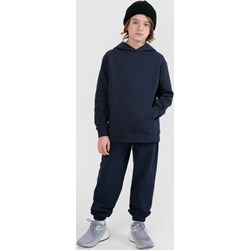 Spodnie chłopięce 4f Junior - Sportstylestory.com - zdjęcie produktu