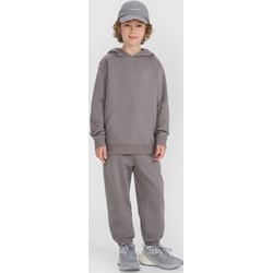 Spodnie chłopięce 4f Junior - Sportstylestory.com - zdjęcie produktu