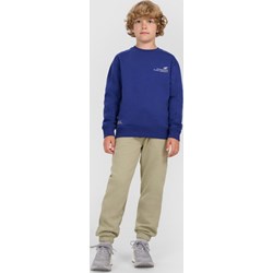 Spodnie chłopięce 4f Junior - Sportstylestory.com - zdjęcie produktu