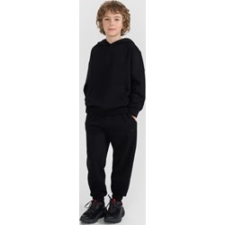 Spodnie chłopięce 4f Junior - Sportstylestory.com - zdjęcie produktu