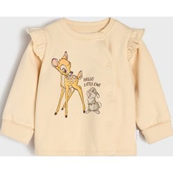 Bluza/sweter Sinsay - zdjęcie produktu