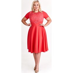 Sukienka Fokus - fokus.pl - zdjęcie produktu