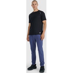 Spodnie męskie 4F - Sportstylestory.com - zdjęcie produktu