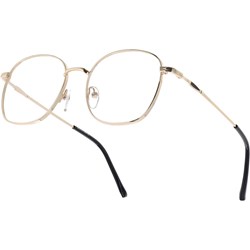 Okulary korekcyjne Sunoptic - Stylion - zdjęcie produktu