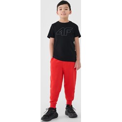 Spodnie chłopięce 4f Junior - Sportstylestory.com - zdjęcie produktu