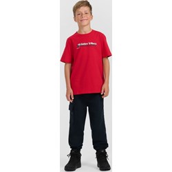 Spodnie chłopięce 4f Junior - Sportstylestory.com - zdjęcie produktu