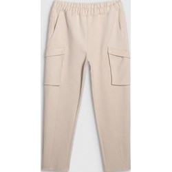 Spodnie męskie 4F  - zdjęcie produktu