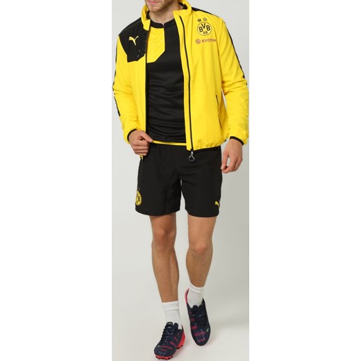 kurtki wiosenne meskie puma kurtki wiosenne meskie puma