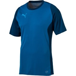 koszulki sportowe męskie puma koszulki sportowe męskie puma