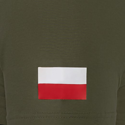 Koszulka T-Shirt TigerWood Instruktor - olive Tigerwood XL Militaria.pl