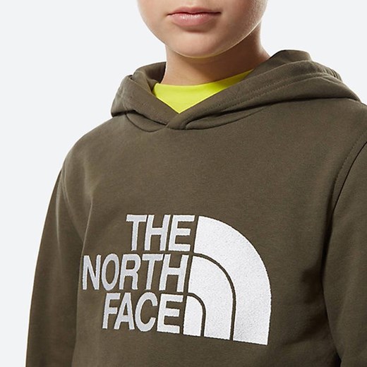 Bluza dziecięca The North Face Youth Drew Peak P/O Hoodie NF0A33H4KR5 The North Face XS sneakerstudio.pl