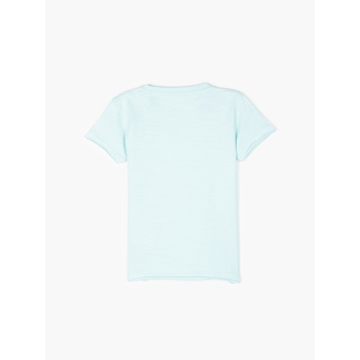 T-shirt chłopięce Gate