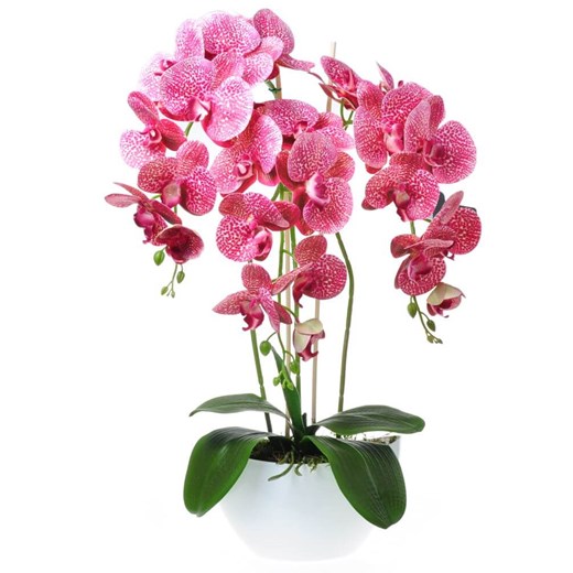 Storczyk orchidea- kompozycja kwiatowa 60 cm 3PGRK ze sklepu Pantofelek24.pl w kategorii Dekoracje - zdjęcie 109605750