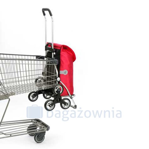 Wózek na zakupy ANDERSEN Royal 6 Arik 169-169-20 Kemer Bagażownia.pl promocyjna cena