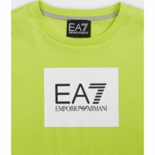 T-SHIRT 8y showroom.pl