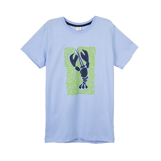 T-shirt chłopięce niebieski Tup Tup z krótkimi rękawami 