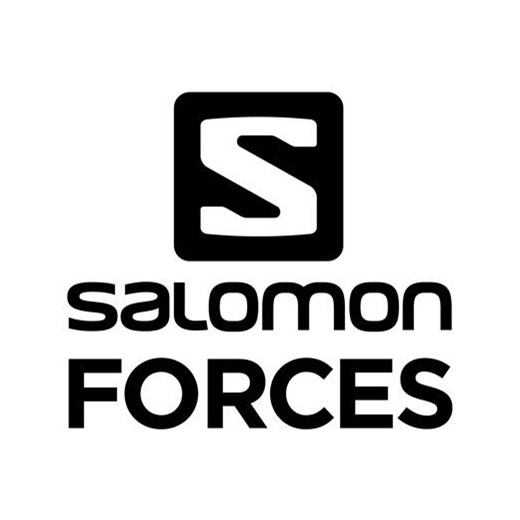 Salomon Quest 4D GTX Forces 2 EN buty, slate brown - Rozmiar:6.5 Salomon 7.5 WARAGOD.pl