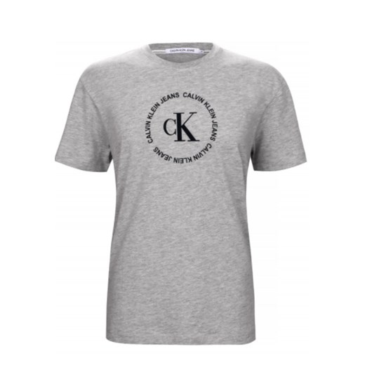 T-shirt męski Calvin Klein  C-neck Gray ze sklepu dewear.pl w kategorii T-shirty męskie - zdjęcie 115816754