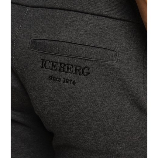 Iceberg spodnie męskie 
