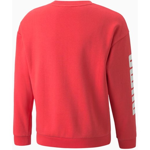 Bluza młodzieżowa Alpha Crew Neck Puma Puma 128cm wyprzedaż SPORT-SHOP.pl
