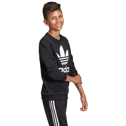 Bluza młodzieżowa Trefoil Crew Adidas Originals 134cm okazyjna cena SPORT-SHOP.pl
