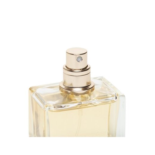 Perfumy męskie Gino Rossi 