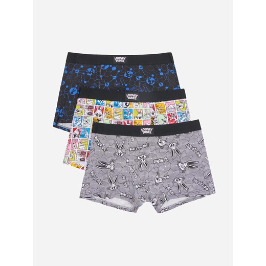 Bokserki Looney Tunes 3-pak - Wielobarwny House XL House