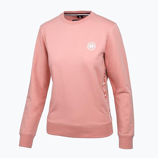 Bluza Pitbull Crewneck F.Terry „Small Logo” | WYSYŁKA W 24H | 30 DNI NA ZWROT Pitbull L sportano.pl